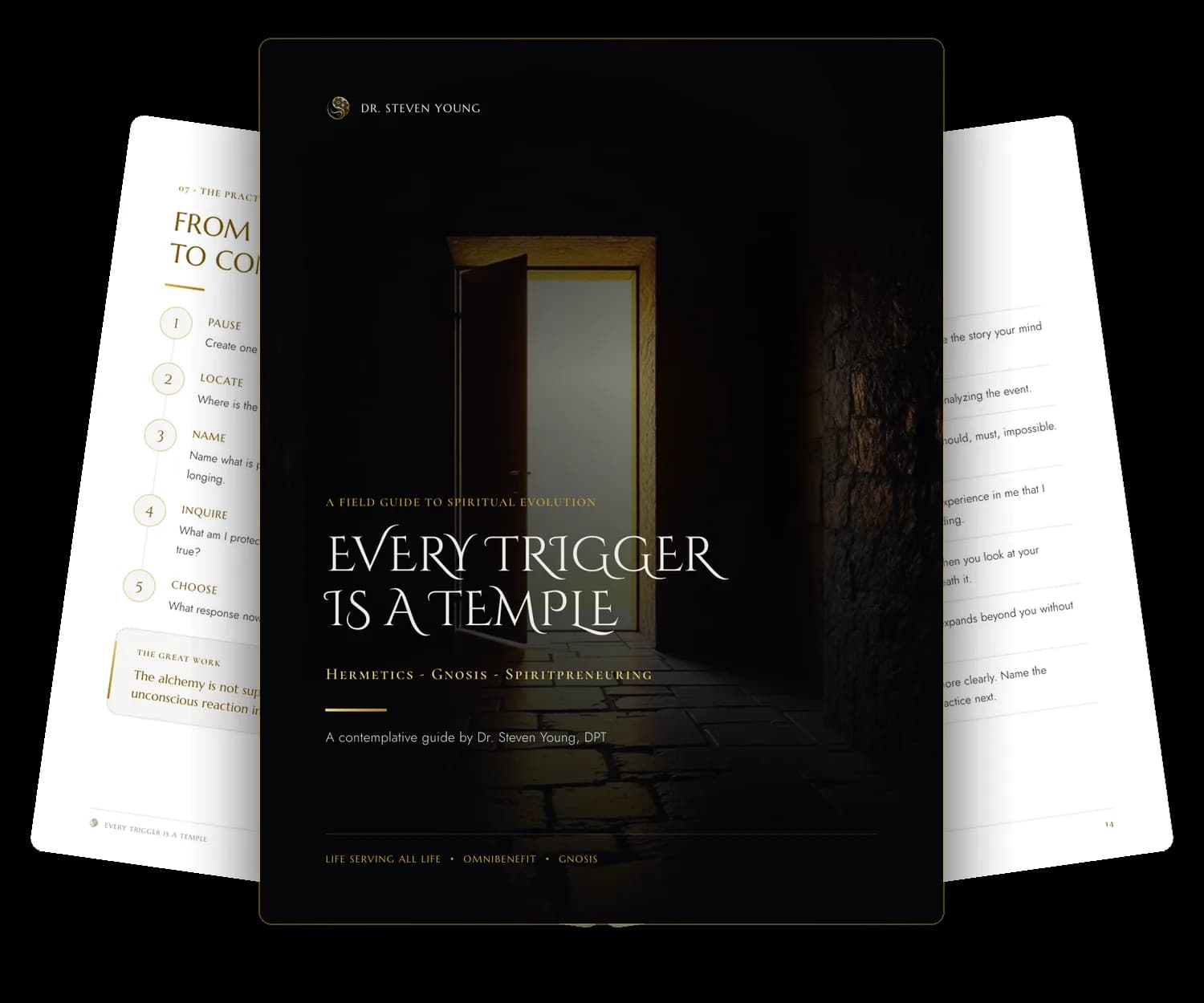 The Every Trigger Is a Temple guide: its cover with two of the inside pages